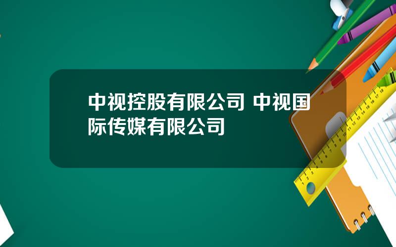 中视控股有限公司 中视国际传媒有限公司